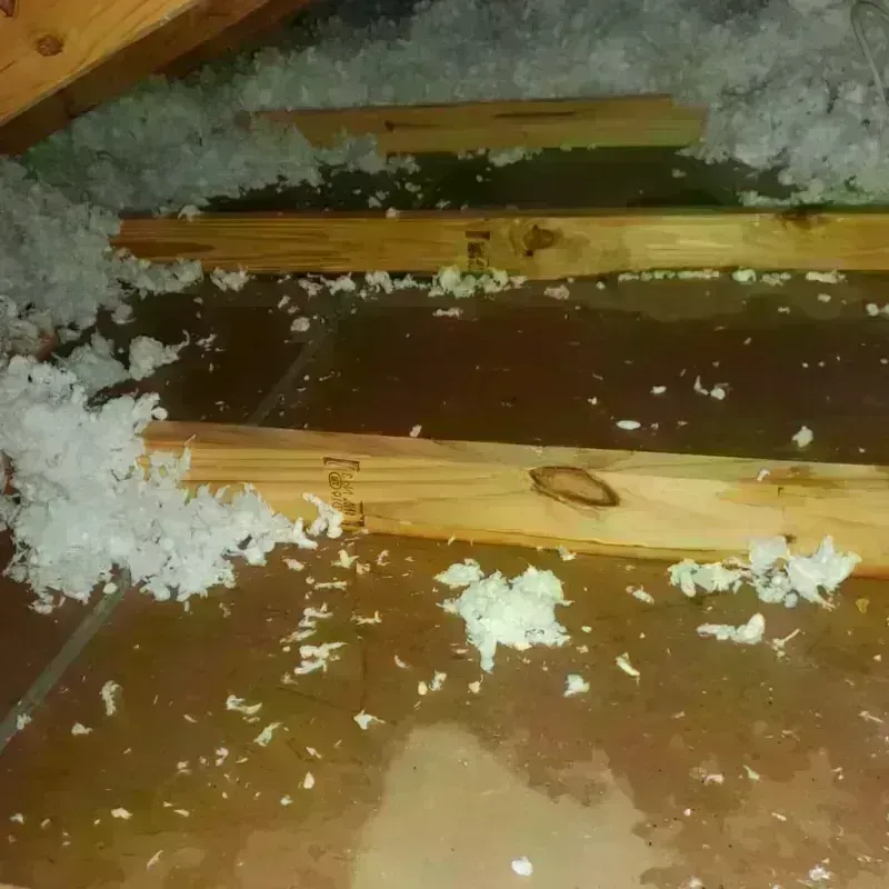 Attic Water Damage in Ahoskie, NC